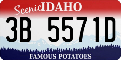ID license plate 3B5571D