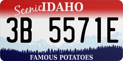 ID license plate 3B5571E