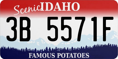 ID license plate 3B5571F