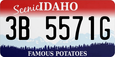 ID license plate 3B5571G