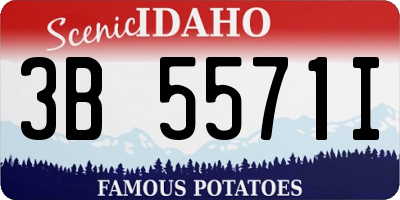 ID license plate 3B5571I