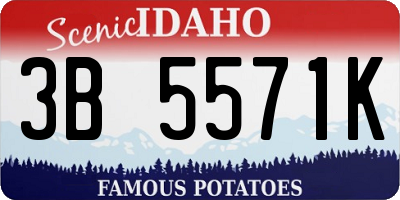 ID license plate 3B5571K