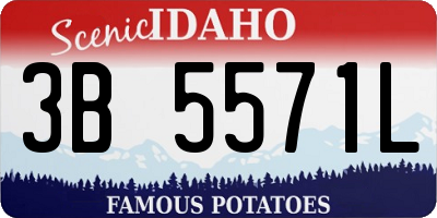 ID license plate 3B5571L