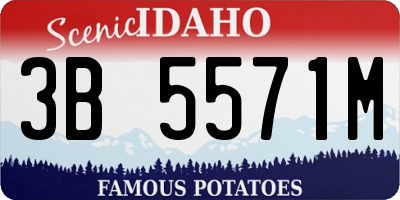 ID license plate 3B5571M