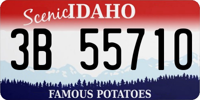 ID license plate 3B5571O