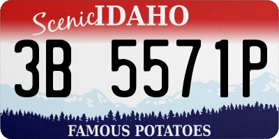 ID license plate 3B5571P