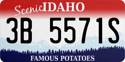 ID license plate 3B5571S