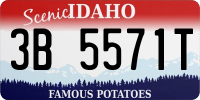 ID license plate 3B5571T