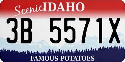 ID license plate 3B5571X
