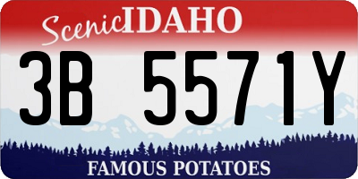 ID license plate 3B5571Y