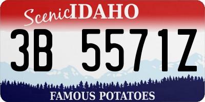 ID license plate 3B5571Z