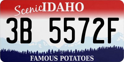ID license plate 3B5572F