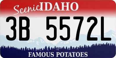 ID license plate 3B5572L