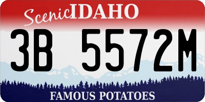 ID license plate 3B5572M
