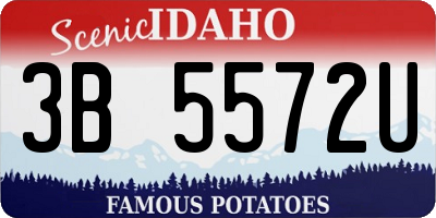 ID license plate 3B5572U