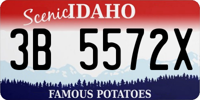 ID license plate 3B5572X