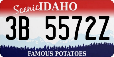 ID license plate 3B5572Z