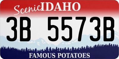 ID license plate 3B5573B