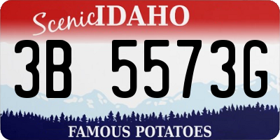 ID license plate 3B5573G