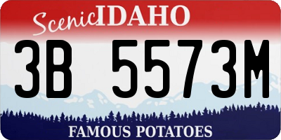 ID license plate 3B5573M