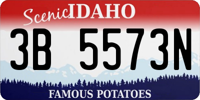 ID license plate 3B5573N