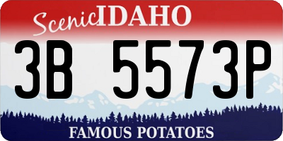 ID license plate 3B5573P