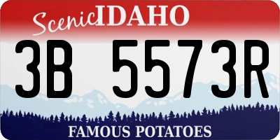 ID license plate 3B5573R