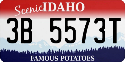 ID license plate 3B5573T