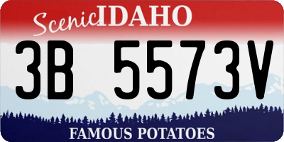 ID license plate 3B5573V