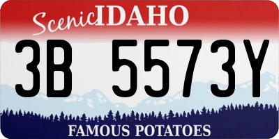 ID license plate 3B5573Y