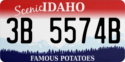 ID license plate 3B5574B