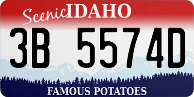 ID license plate 3B5574D