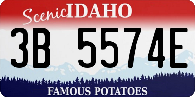 ID license plate 3B5574E