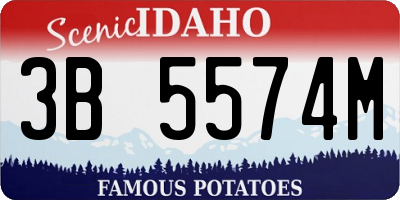 ID license plate 3B5574M