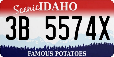 ID license plate 3B5574X