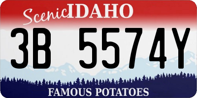 ID license plate 3B5574Y