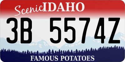 ID license plate 3B5574Z