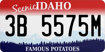 ID license plate 3B5575M