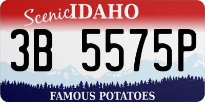 ID license plate 3B5575P