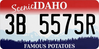 ID license plate 3B5575R