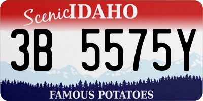 ID license plate 3B5575Y