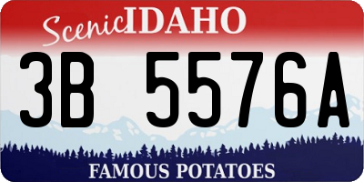 ID license plate 3B5576A