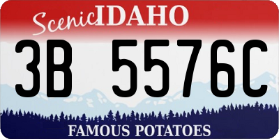 ID license plate 3B5576C