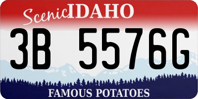 ID license plate 3B5576G