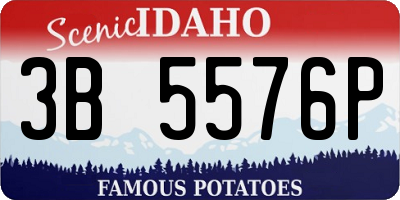 ID license plate 3B5576P