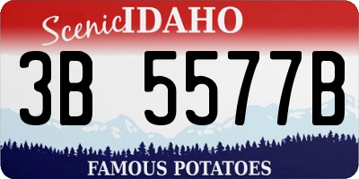 ID license plate 3B5577B