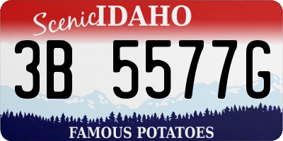 ID license plate 3B5577G