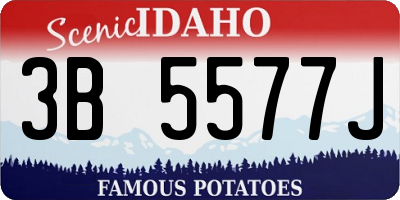 ID license plate 3B5577J