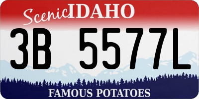 ID license plate 3B5577L
