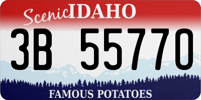 ID license plate 3B5577O